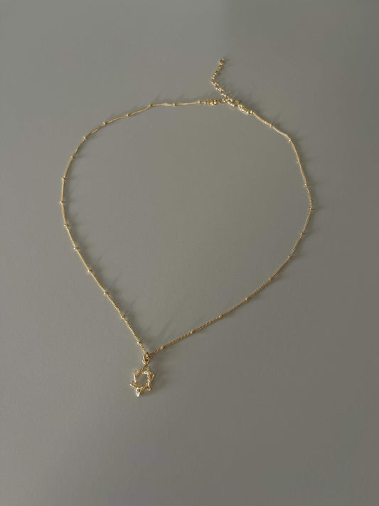 Star of David Necklace